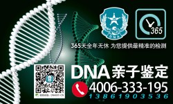 匿名个人亲子鉴定 ,报告没有法律效力的