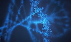血痕样本可以保存多久?