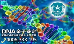 个人亲子鉴定结果和家庭亲子结果是一样的