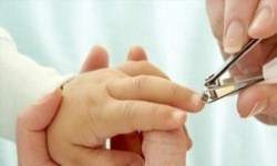 不想给对方知道怎么做亲子鉴定