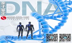 一个合格的亲子鉴定报告有哪些内容?